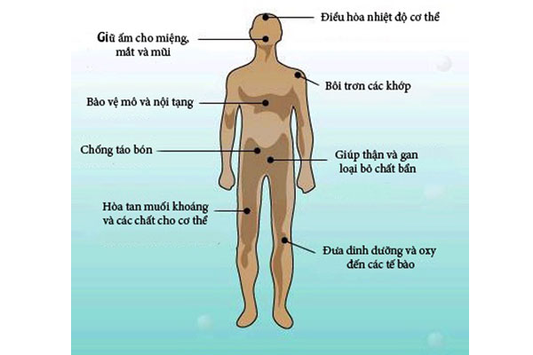 Tầm quan trọng của nước sạch trong cuộc sống hàng ngày